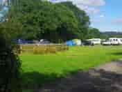 Grass pitches