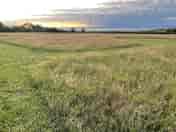 Grass tent pitches
