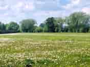 Lots of open space