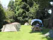 Grass pitches