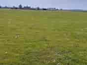 Grass pitches