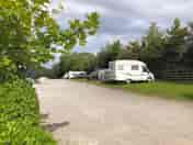 Hedge side pitches 1 onward