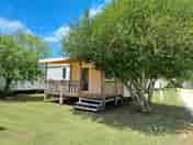 Caravan in a green setting