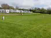 Grove pitches