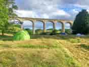 Visitor image of Cannington Farm