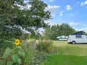 Non electric pitches
