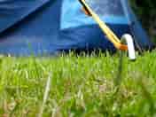 Grass pitches