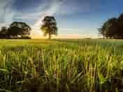 Dog-friendly camping in Oxfordshire
