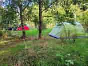 Part of camping area