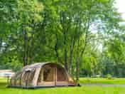Pitches among the trees