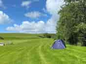 Visitor image of their tent pitch