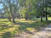 Woodland
