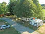 Pitches surrounded by native greenery