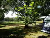 TN2 non-electric grass tent pitch