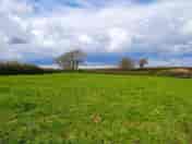 Waypark pitches