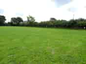 Grass pitches