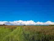Spacious grassed pitches with far reaching views to the Preseli hills and the coast