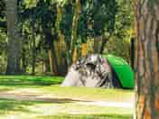 Shaded grass pitches