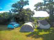 Shady pitches looking over the woods