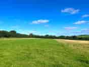 Grass pitches