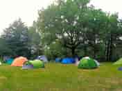 Grassy pitches