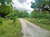 Path through the site