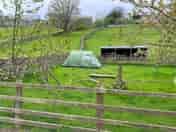 The site