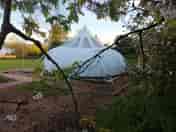 Late spring with a backdrop of fruit trees