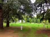 Shaded pitches among the trees