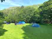 Camping pitches