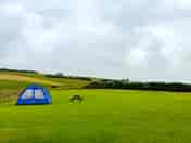 Wee bivvy tents right to roam