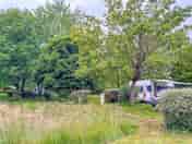 Grass pitches