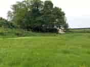 Campion tent pitch