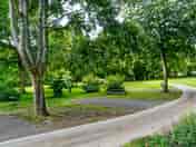 Scenic pitches surrounded by woodlands