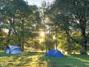 Visitor image of early morning