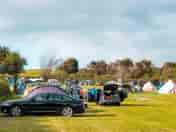 Grass pitches