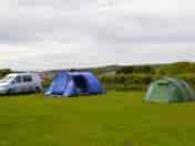 View of the pitches