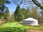 Lake yurt