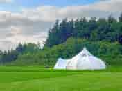 Camping field with mown pitches