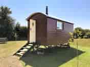 Robin exterior