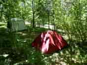 Shaded tent pitches