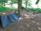 Woodland camp