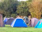 Tiny tent