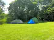 Grassy pitches