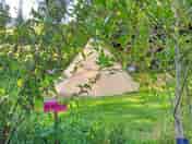 Mavis in dappled shade by the river