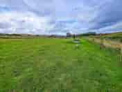 Grassy pitches