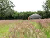 Yurt exterior