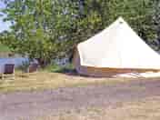 Severn bell tent pitch