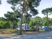 Grass pitches
