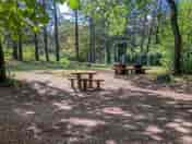 Shaded pitches with picnic tables